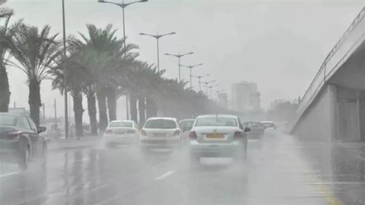 حالة الطقس حتى الأربعاء المقبل: شبورة مائية ورياح نشطة في عدة مناطق